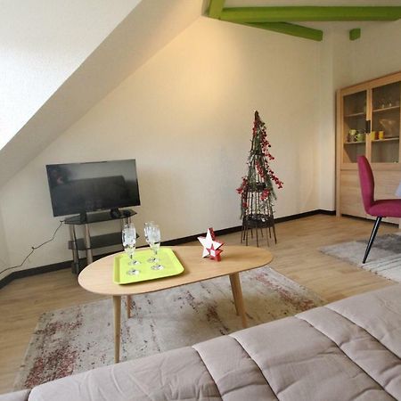 Colmar Historic Center - Cosy Appartement Turenne 2 - Bookingalsace Zewnętrze zdjęcie
