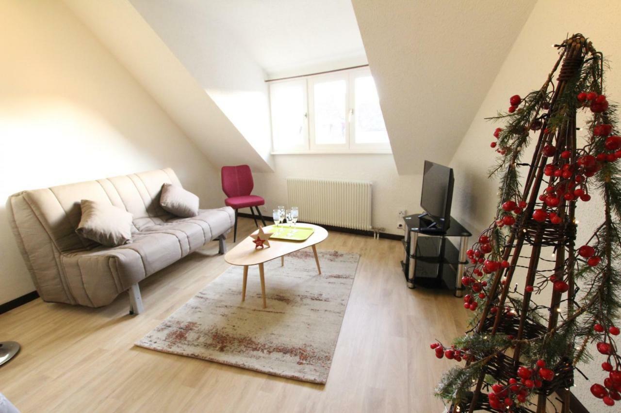 Colmar Historic Center - Cosy Appartement Turenne 2 - Bookingalsace Zewnętrze zdjęcie