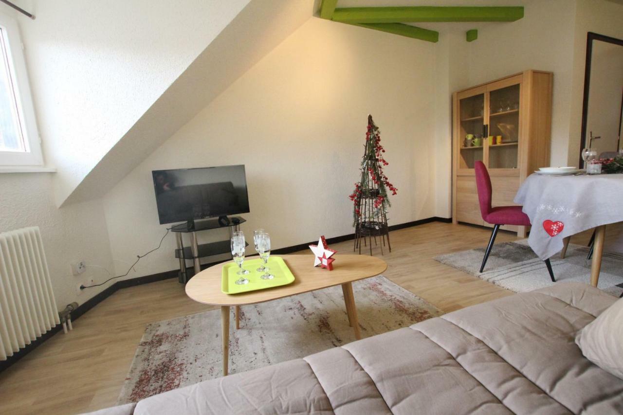 Colmar Historic Center - Cosy Appartement Turenne 2 - Bookingalsace Zewnętrze zdjęcie